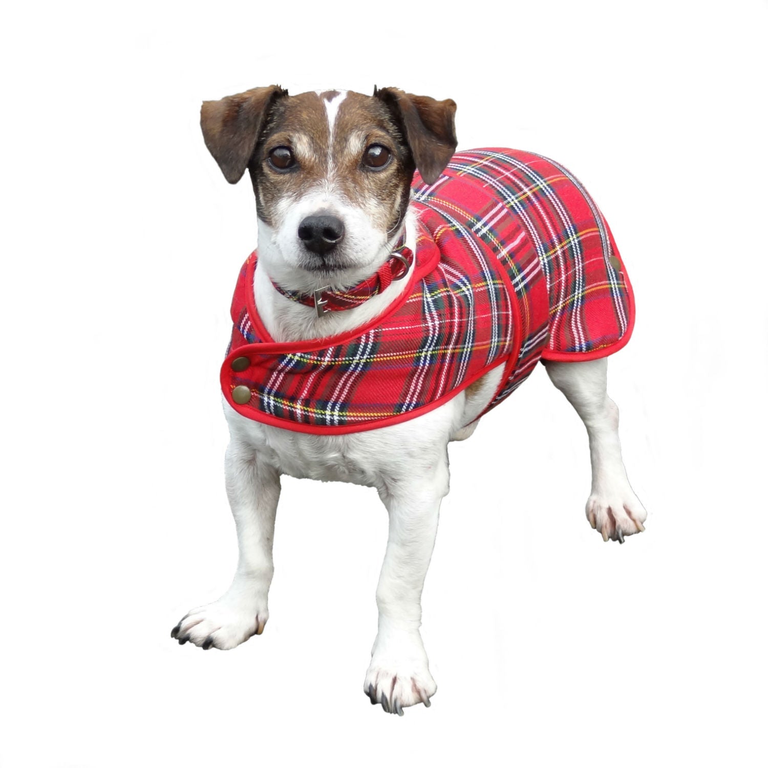 Red tartan clearance dog coat